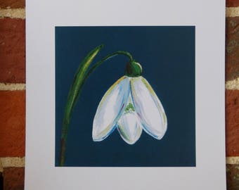 Snowdrop on blue - 20cm x 20cm print