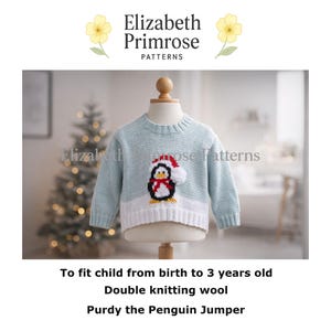 Purdy the Penguin Jumper Knitting Pattern, P29, DK, 0–3 Years (Digital Download)