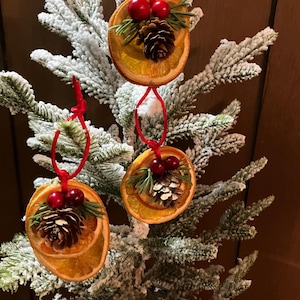 Orange Slice Berry Greenery Christmas Holiday Decor Ornaments Set of 3