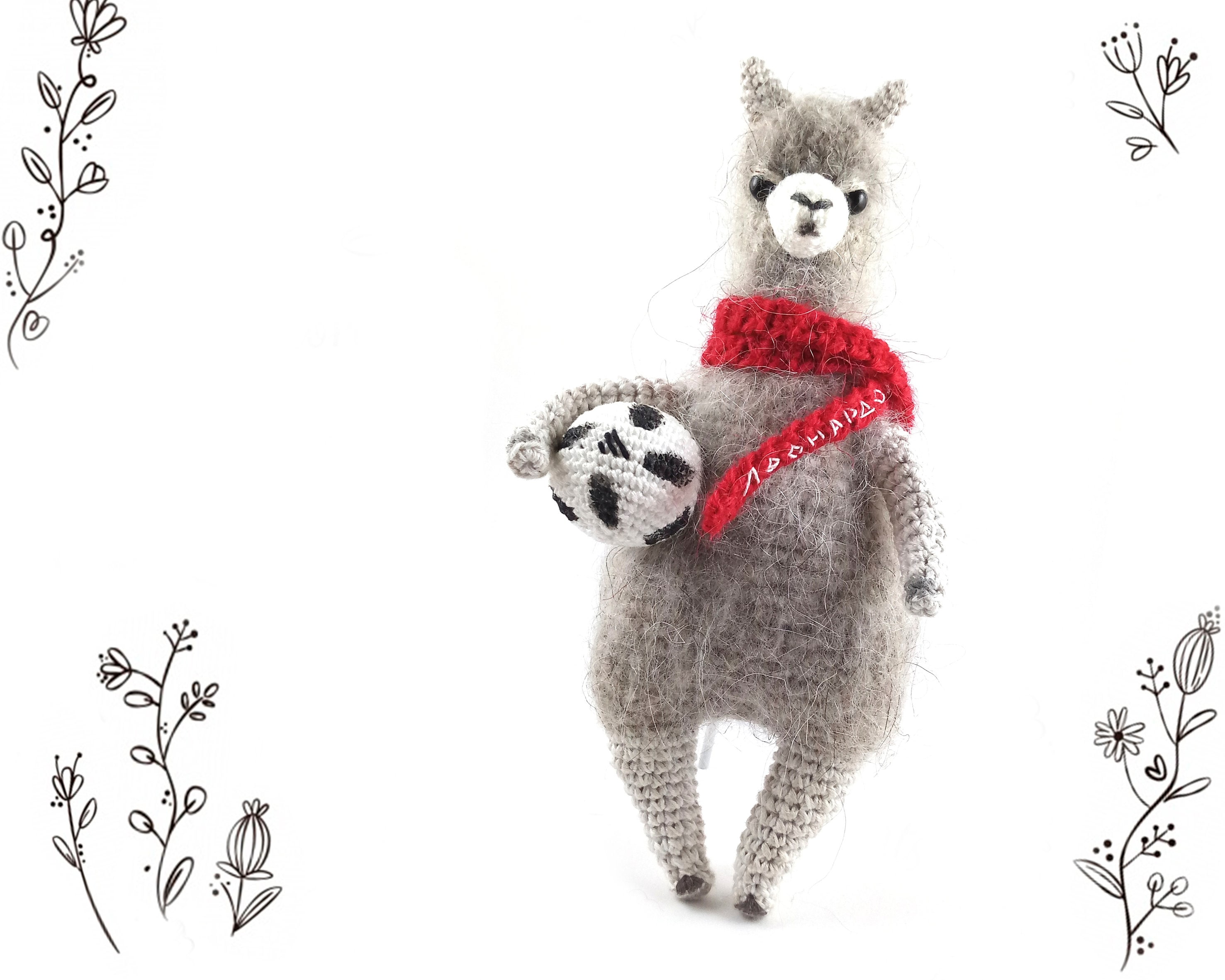 teddy lama
