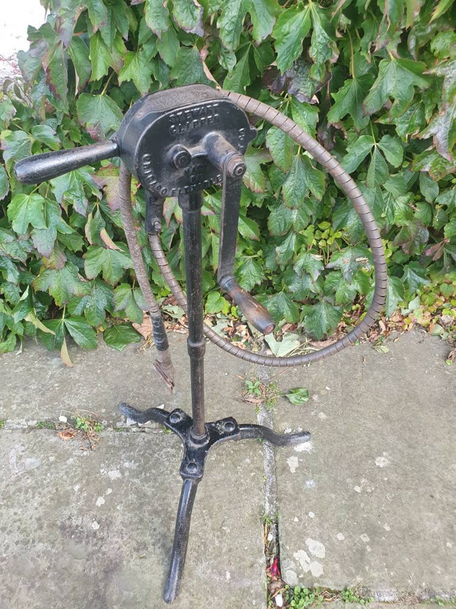 Antique Sheep Shearing Tool With Stand Etsy