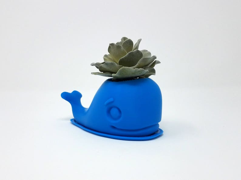 Whale Succulent Planter Cactus Planter Indoor Planter Air Planter Plant Pot Home Decor Apartment Decor Planter Moby Dick