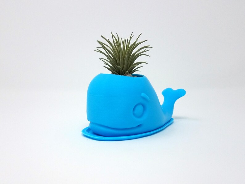 Whale Succulent Planter Cactus Planter Indoor Planter Air Planter Plant Pot Home Decor Apartment Decor Planter Moby Dick