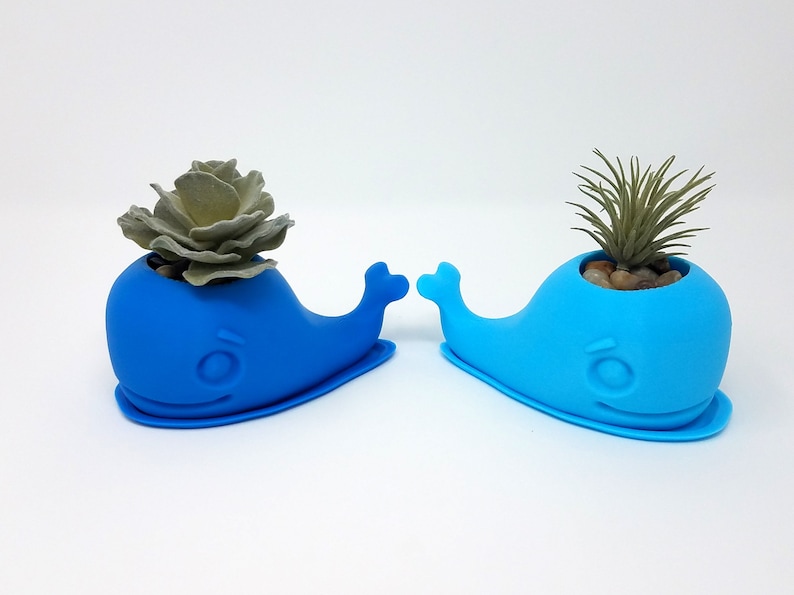 Whale Succulent Planter Cactus Planter Indoor Planter Air Planter Plant Pot Home Decor Apartment Decor Planter Moby Dick