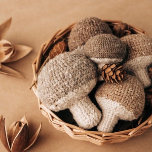 Crochet Mushroom Pattern, Amigurumi mushroom pattern SET (2 mushrooms), PDF Porcini mushroom crochet pattern (English)