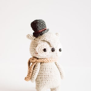 Owl crochet pattern : Harold the owl amigurumi pattern, PDF owl crochet English image 9