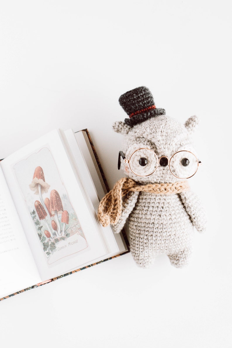 Owl crochet pattern : Harold the owl amigurumi pattern, PDF owl crochet English image 7
