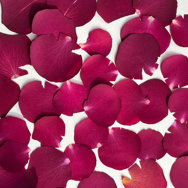 Real Flower Petals Etsy