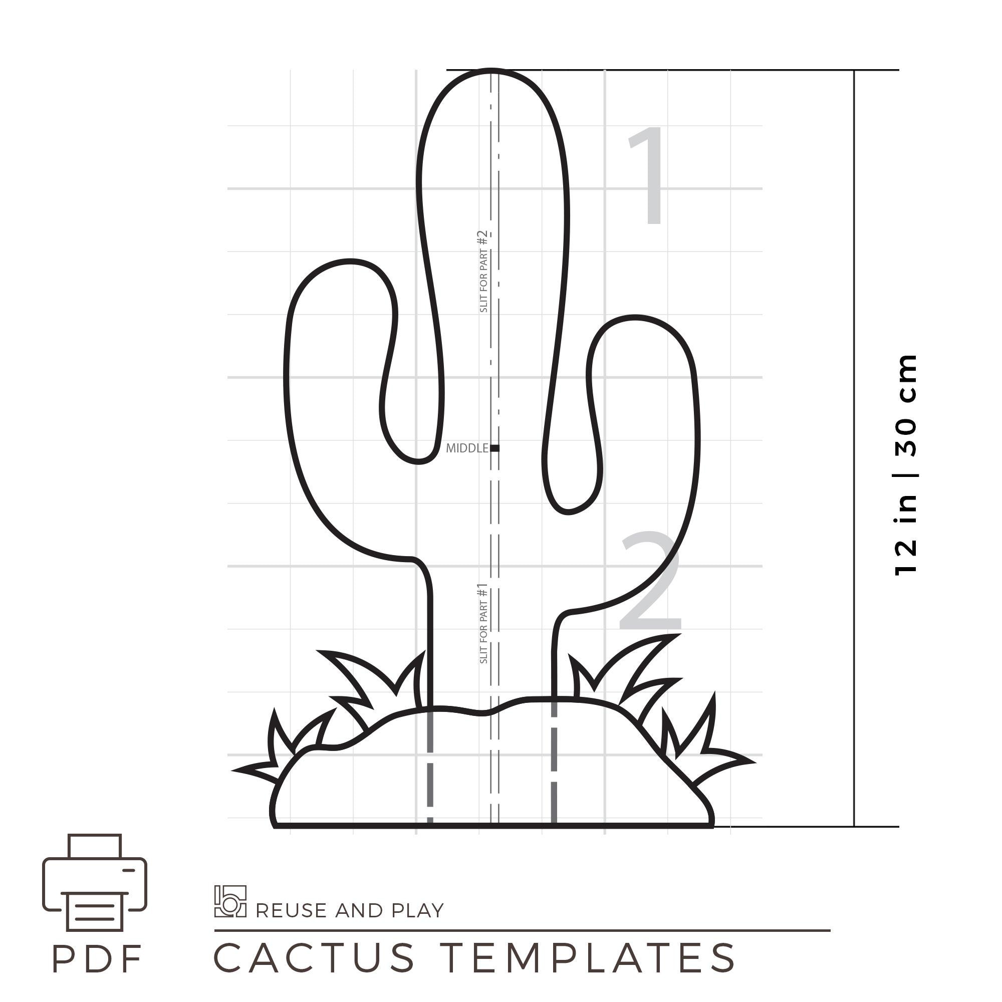 figs cactus Opuntia ficus-indica main image 1