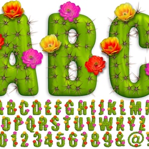 Letras PNG de cactus, fondo transparente, clip art del alfabeto de cactus, PNG, letras de cactus, letras de flores, cactus, cactus 18AT