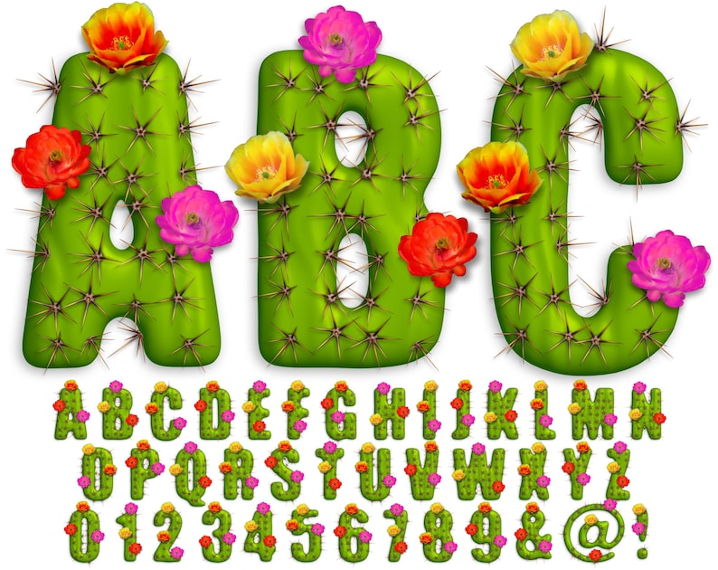 May include: Cactus-shaped alphabet letters and numbers with colourful flowers. The letters are A, B, C, and the numbers are 0, 1, 2, 3, 4, 5, 6, 7, 8, 9. The letters and numbers are green with brown spines and have a 3D effect.