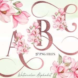 Alfabeto de flores de acuarela PNG, alfabeto floral rosa dorado, alfabeto de flores, letras mayúsculas florales, alfabeto botánico rosa suave 14WB