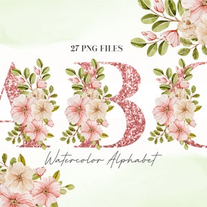Acuarela Flores Alfabeto PNG, Oro Rosa Floral Alfabeto Clip Art, PNG Transparente, Letras Mayúsculas Brillo, Alfabeto Botánico Rosa 8W