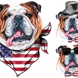 Bulldog PNG, Bandana, Papillon, Fiocco per capelli, Corona, Cappello a cilindro, Occhiali da sole, Pacchetto, Cane, 4 luglio, Giorno dell'Indipendenza, Sublimazione