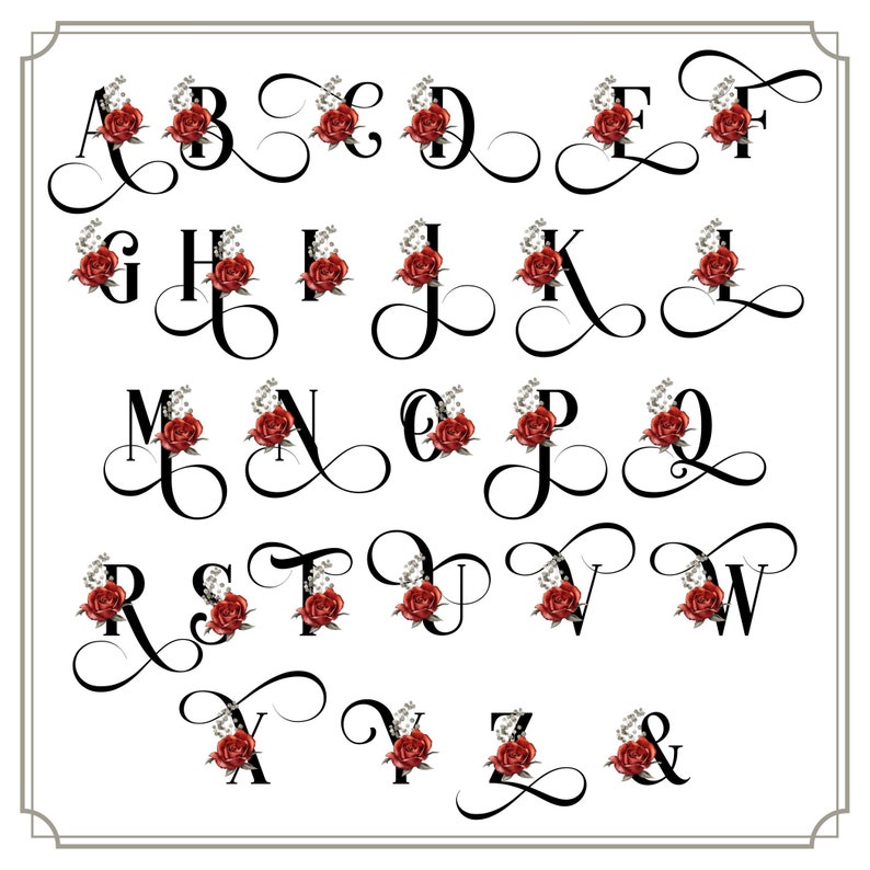 May include: A black and white alphabet with red and white floral accents. Each letter is stylized with a flourish and a small floral arrangement.