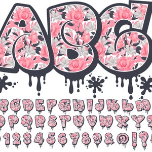 グラフィティ スプリング フローラル アルファベット PNG、アルファ パック、落書き花、落書き文字、落書き文字、アルファ落書き、ピンクの花、アルファベット 8BG