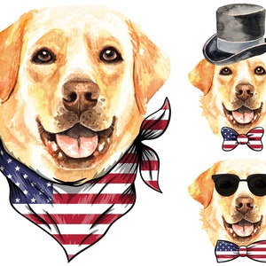 Labrador Retriever PNG, Bandana, Papillon, Fiocco per capelli, Corona, Cappello a cilindro, Occhiali da sole, Pacchetto, Cane, 4 luglio, Giorno dell'Indipendenza, Sublimazione