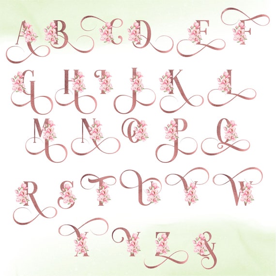 洋書 FLEURS et ALPHABETS FLEURIS 洋書 FLEURS et ALPHABETS FLEURIS The Flower Alphabet Book
