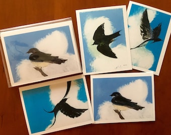 Swallows:  Set of four notecards