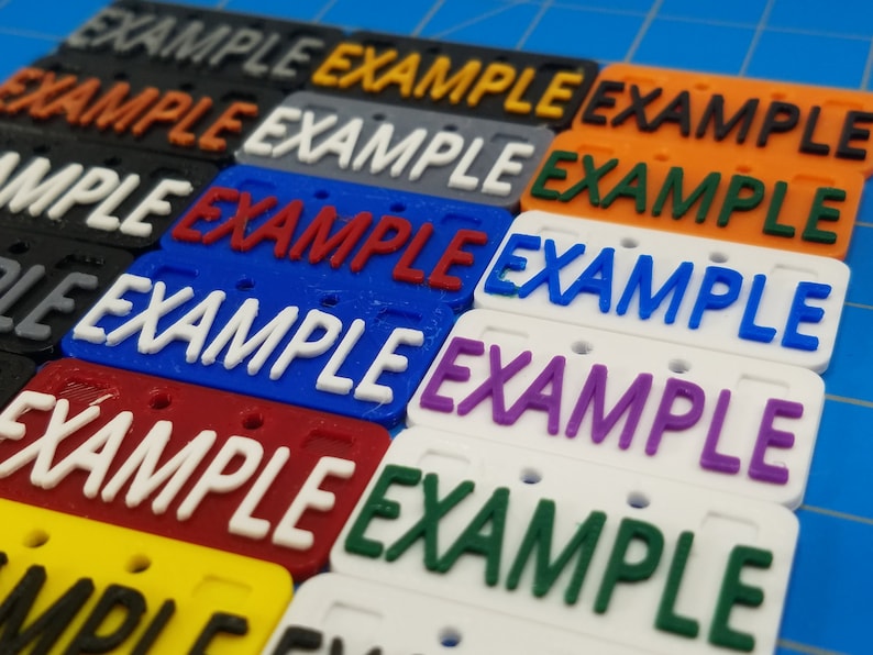 Puede incluir: Primer plano de diez etiquetas rectangulares de pl&aacute;stico con la palabra "EXAMPLE" impresa en ellas en diferentes colores, incluyendo negro, naranja, gris, rojo, azul, morado, blanco, amarillo y verde.