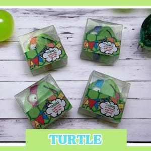 Turtle Bath Bomb, Party Favours