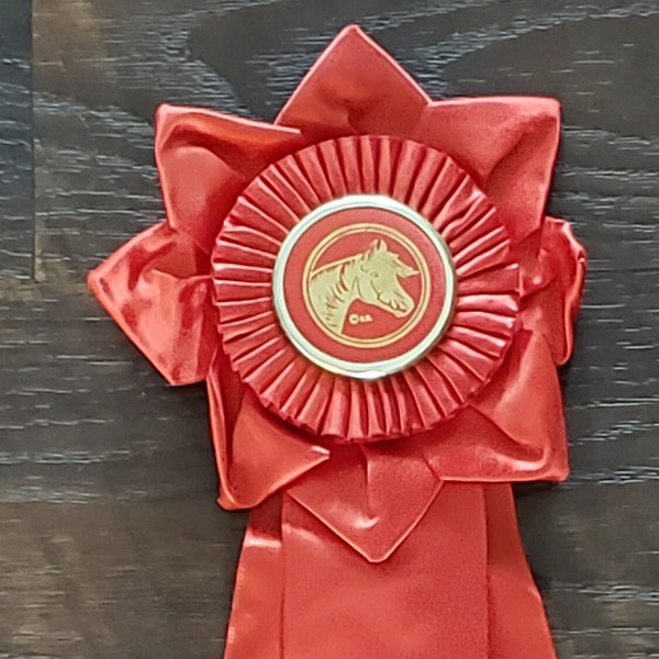 Horse Show Ribbons - Etsy