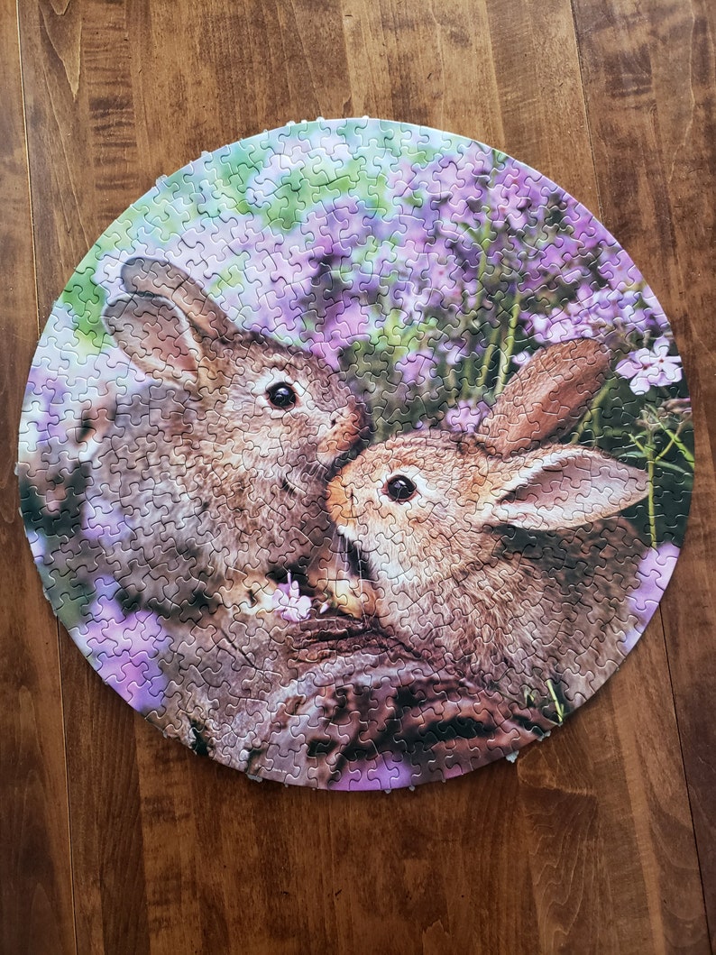 Springbok Rabbit Springbok Round