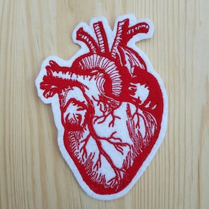 Pode incluir: Patch bordado vermelho em forma de coração anatômico sobre fundo branco. O coração é detalhado com veias e artérias.
