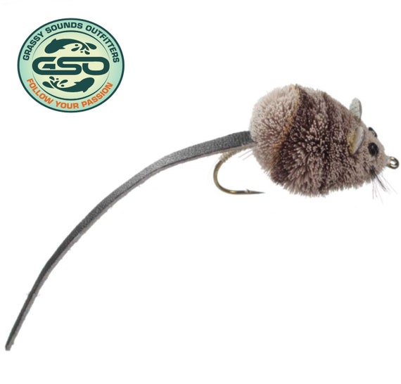 cane pole catfish fishing Silver Cat - Redesign Standard Box Color:Chrome Shad FISH FINDERS – Tidal