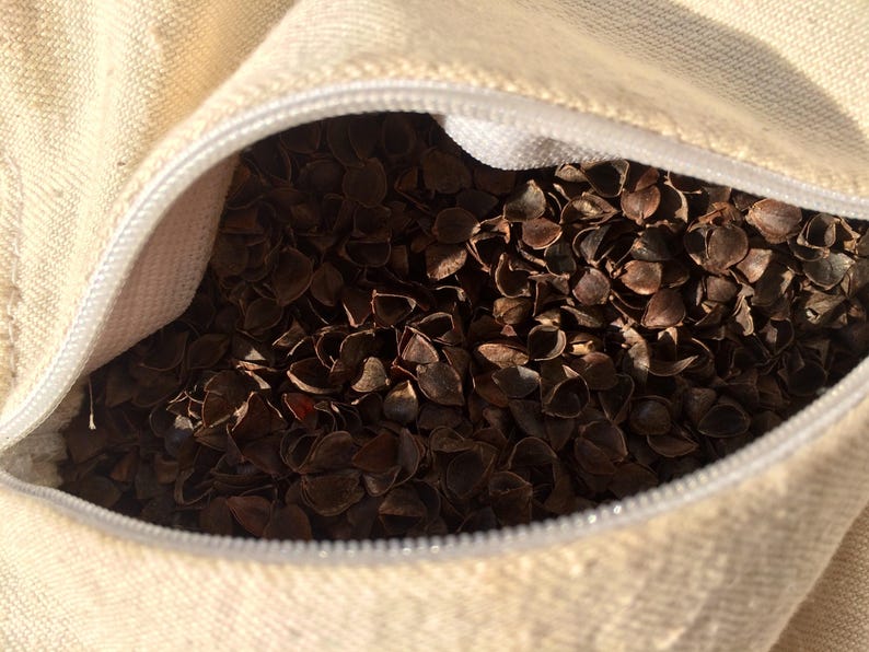 Buckwheat Hulls husk Organic Pillow Insert Fill Etsy