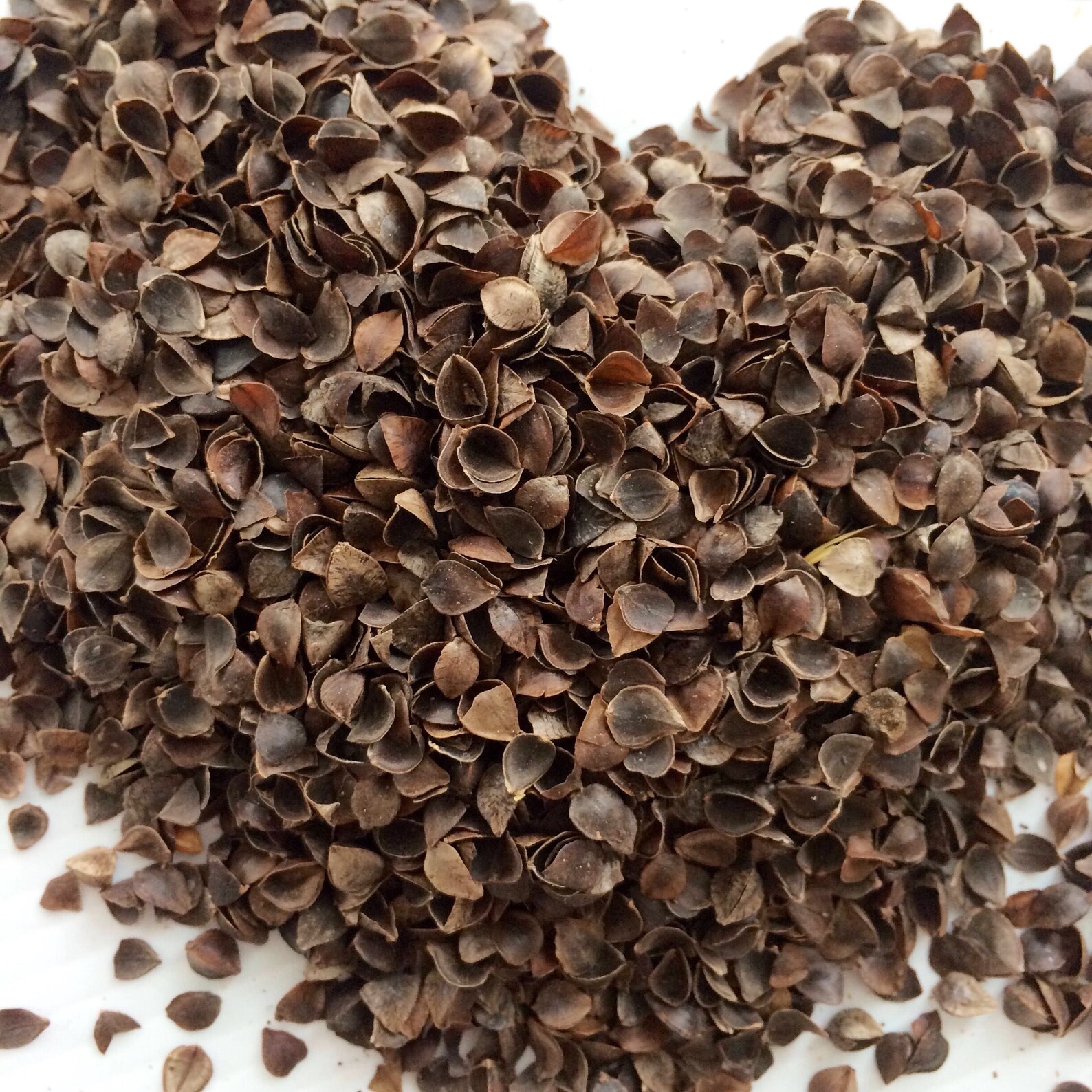 Buckwheat hulls husk Organic pillow insert Fill Etsy