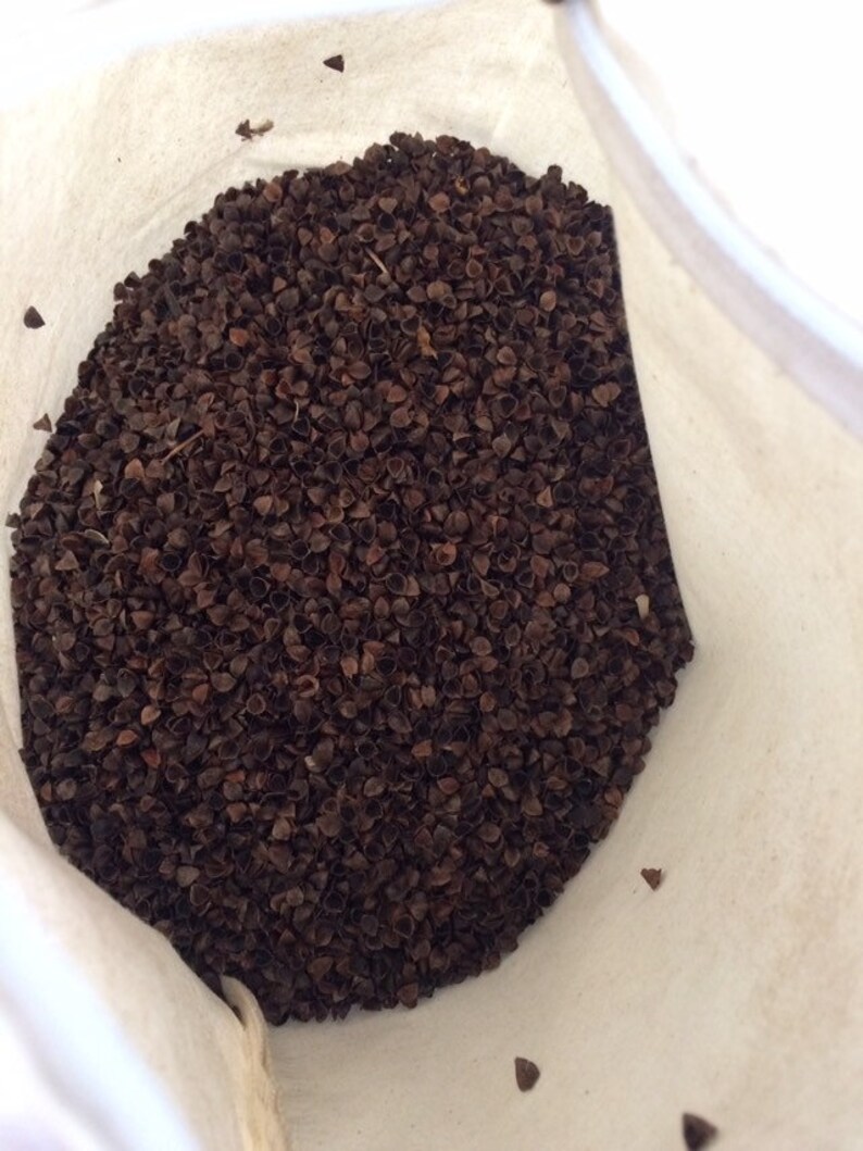 Buckwheat Lumbar Body Pillow Insert Extra Large Organic Etsy