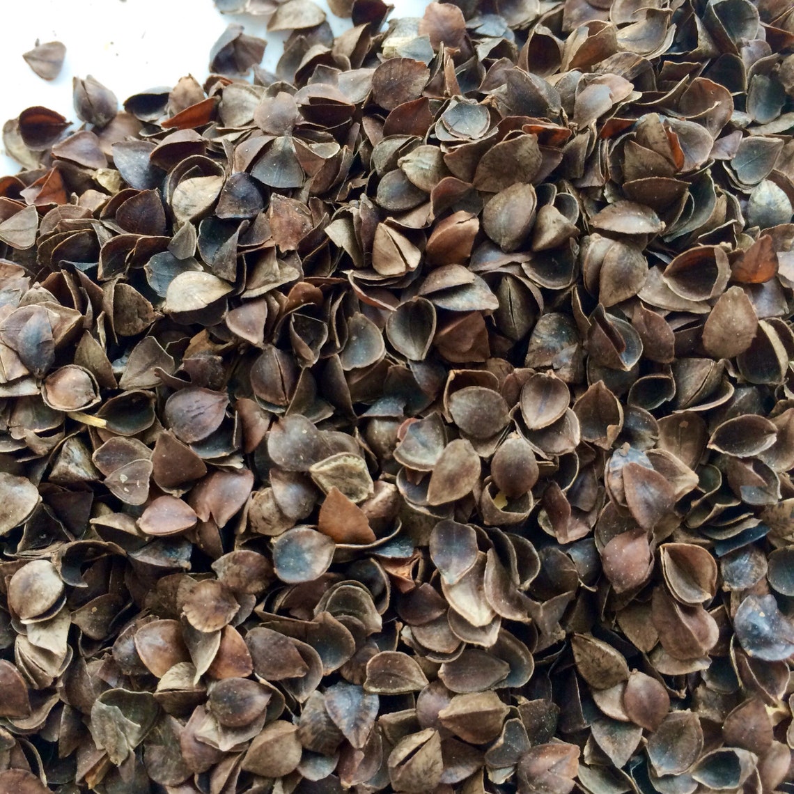 Buckwheat hulls husk Organic pillow insert Fill Etsy