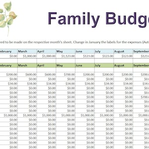 May include: A detailed family budget spreadsheet with monthly expense categories, including income, automobile, housing, food, and health. The document is decorated with watercolor floral accents and the title "Family Budget".