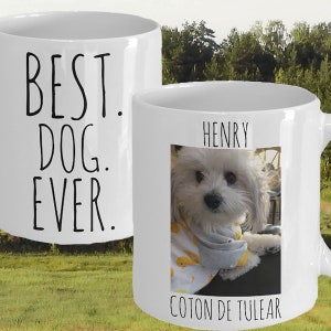 Mug personnalisé photo et nom de chien en coton de Tuléar Mug photo personnalisé pour animal de compagnie Mug amoureux des chiens Mug photo chien pour amoureux des animaux de compagnie Cadeau personnalisé