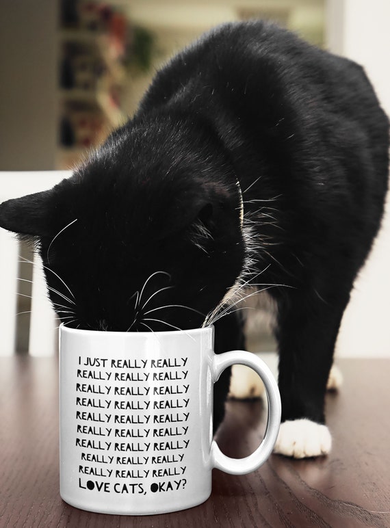 Funny New Mom Mug - The Cat is Jealous of Baby
