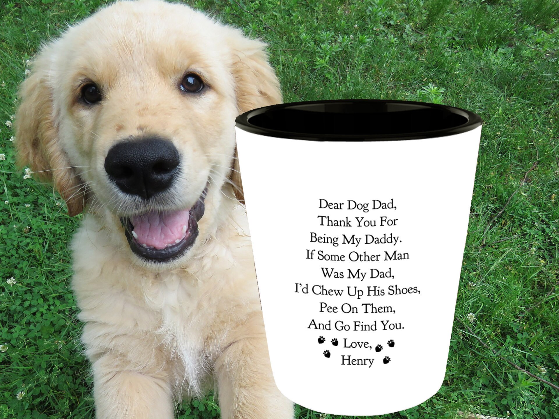 Why Does My Dog Pee In My Shoes