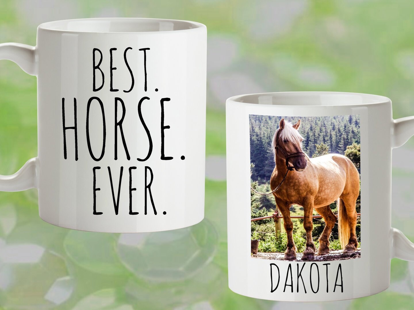 Birthday Gift Idea for Horse Lover Best Horse Ever Etsy