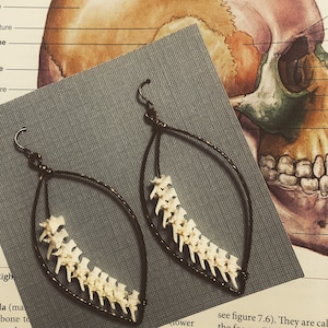 Brass & Bone Rattlesnake Vertebrae Earrings