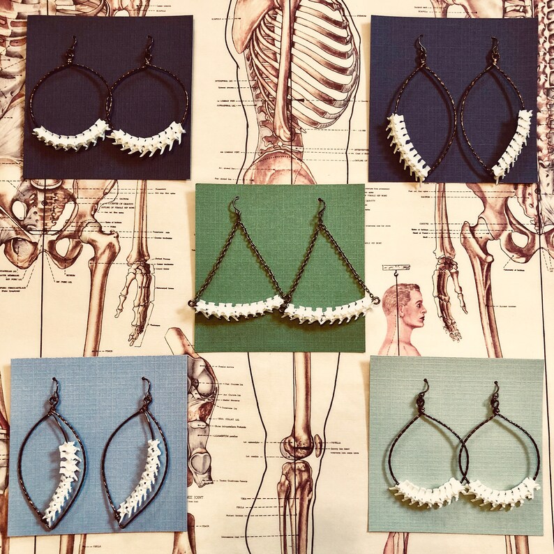 Brass /& Bone Rattlesnake Vertebrae Earrings