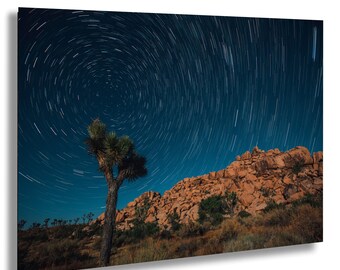 Photo de traînées d'étoiles de l'arbre de Josué - Impression de ciel nocturne en pose longue avec pluie de météores - Art mural paysage désertique - Centre du pôle Nord vrai