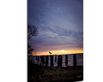 Photo du coucher du soleil de la Floride avec un oiseau sur des poteaux en bois au-dessus de l'eau prise à Dunedin avec des nuages violets et l'horizon de l'océan à l'heure d'or