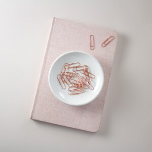Gold and Rose Gold Paper Clips