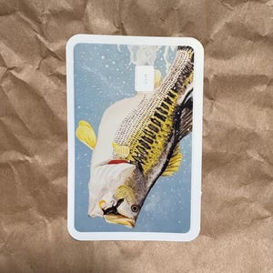 May include: A rectangular card featuring a detailed illustration of a fish, with yellow fins and a patterned body, set against a light blue background. The fish is positioned diagonally, with a hook near its mouth. The card has a white border.
