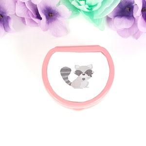 Adult Pacifier Case - Raccoon ABDL Adult Baby Pacifier Holder - Various Colors Pacifier Container- Pacifier Gift Box