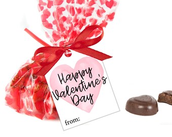 May include: A clear plastic bag filled with red candy hearts, tied with a red ribbon and a gift tag. The tag is white with a pink heart and the text "Happy Valentine's Day" and "from:". Two chocolate heart-shaped candies are shown on a white background.