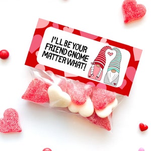 Puede incluir: Una bolsa de regalo roja y blanca para el Día de San Valentín con una etiqueta impresa que dice "I'll be your friend gnome matter what!" La etiqueta presenta una imagen de dibujos animados de dos gnomos tomados de la mano. La bolsa está llena de caramelos en forma de corazón rosa y blanco.