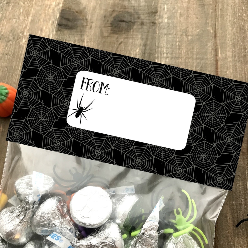 May include: Black and white spiderweb patterned treat bag with a white label that says "FROM:" and a black spider silhouette. The bag is filled with silver foil-wrapped chocolate candies.