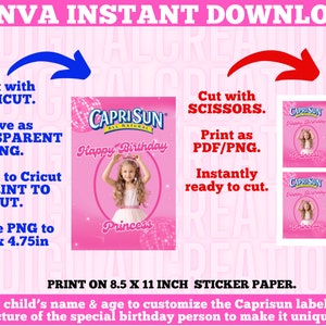 Pink Princess Party Caprisun Template, Pink Doll Party Caprisuns, Princess Doll Themed Custom Caprisuns, Custom Party Caprisuns Labels