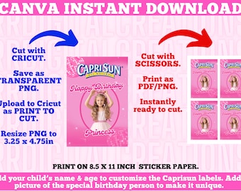 Pink Princess Party Caprisun Template, Pink Doll Party Caprisuns, Princess Doll Themed Custom Caprisuns, Custom Party Caprisuns Labels